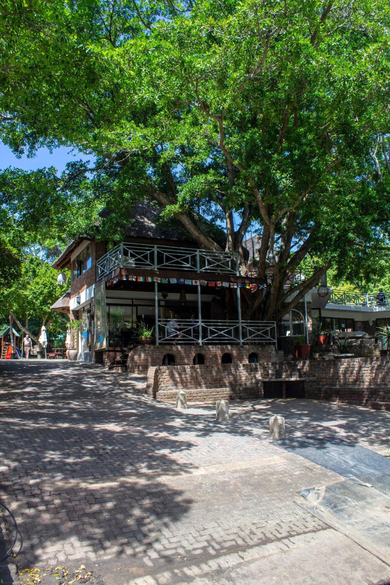 Areena Riverside Resort Kwelera المظهر الخارجي الصورة